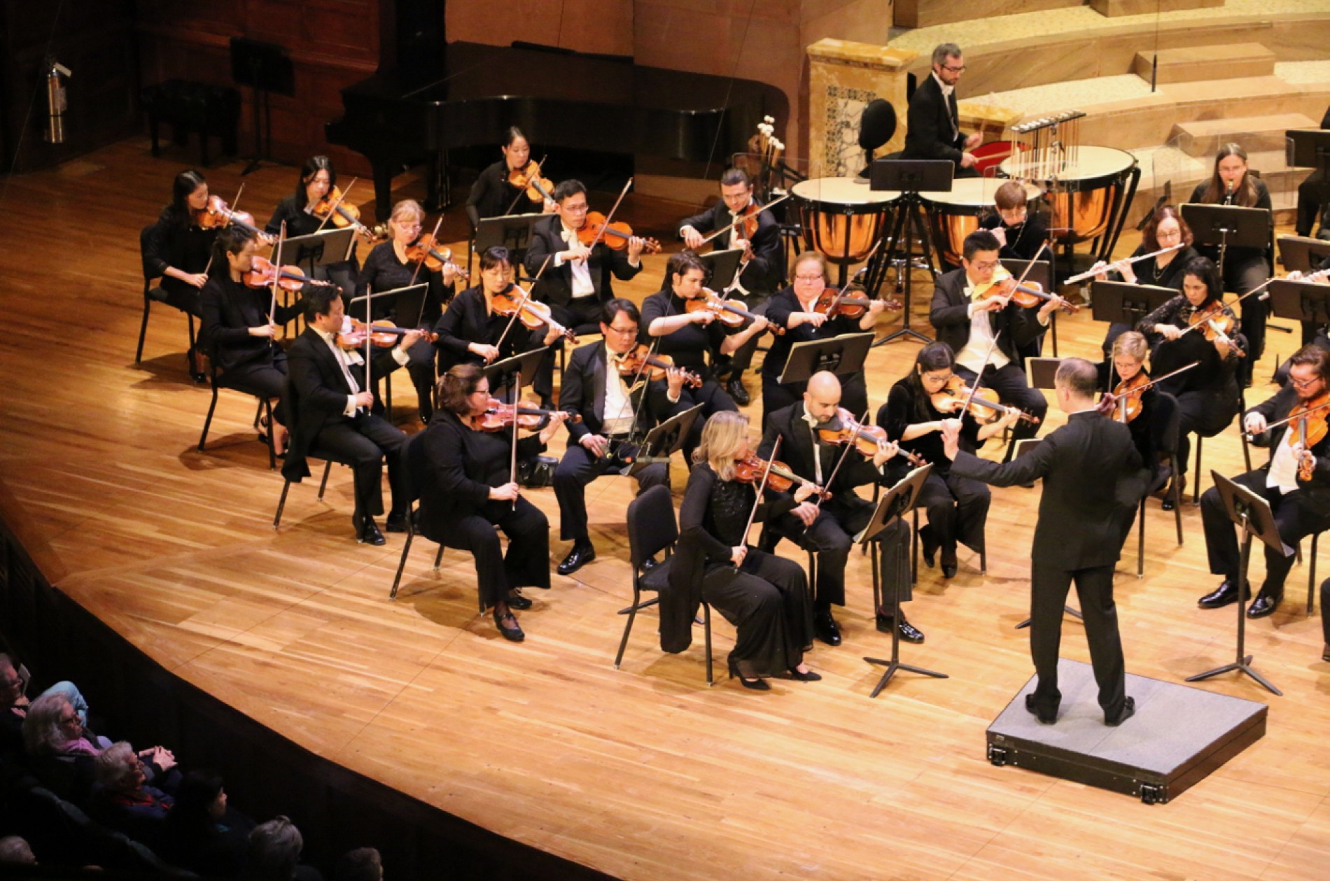 Auditions Princeton Symphony Orchestra